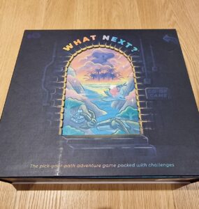 Board game box titled "What Next?" featuring colorful artwork of a pick-your-path adventure with challenges, resting on a wooden surface.