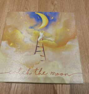 Illustrated book cover titled "Catch the Moon," featuring a whimsical scene of a white cat on a ladder reaching for a crescent moon amidst soft clouds and twinkling stars, set against a dreamy sky.