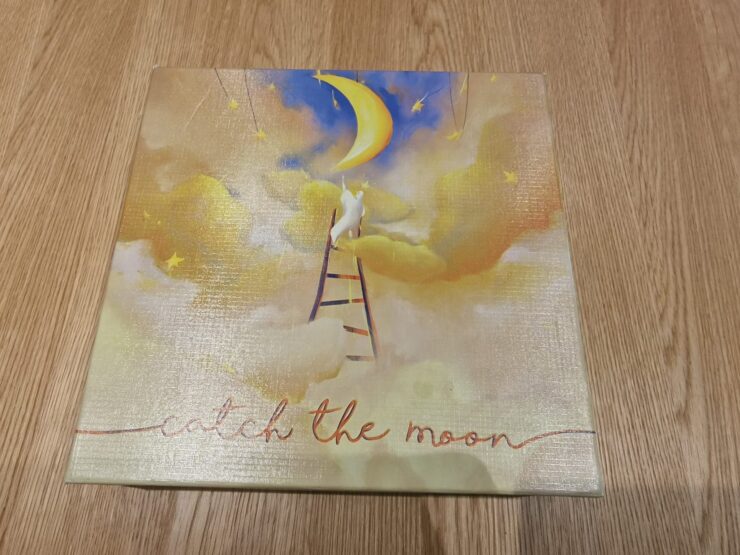 Illustrated book cover titled "Catch the Moon," featuring a whimsical scene of a white cat on a ladder reaching for a crescent moon amidst soft clouds and twinkling stars, set against a dreamy sky.