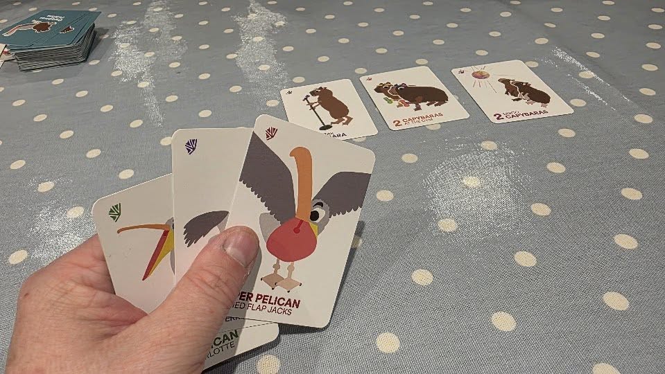 May be an image of ‎text that says "‎ه ..= 2 2'CAMBARAS BARAS 2አ FLAPJACAN FLAP JACKS PELICAN‎"‎