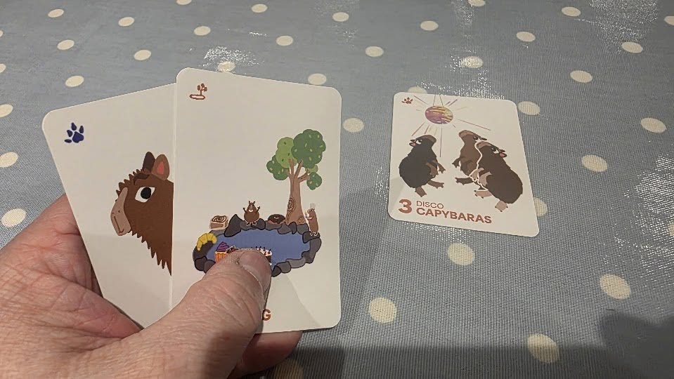 May be an image of ‎text that says "‎مها 3 CAPYBARAS CAP CAPYBARAS DISCO தம்‎"‎