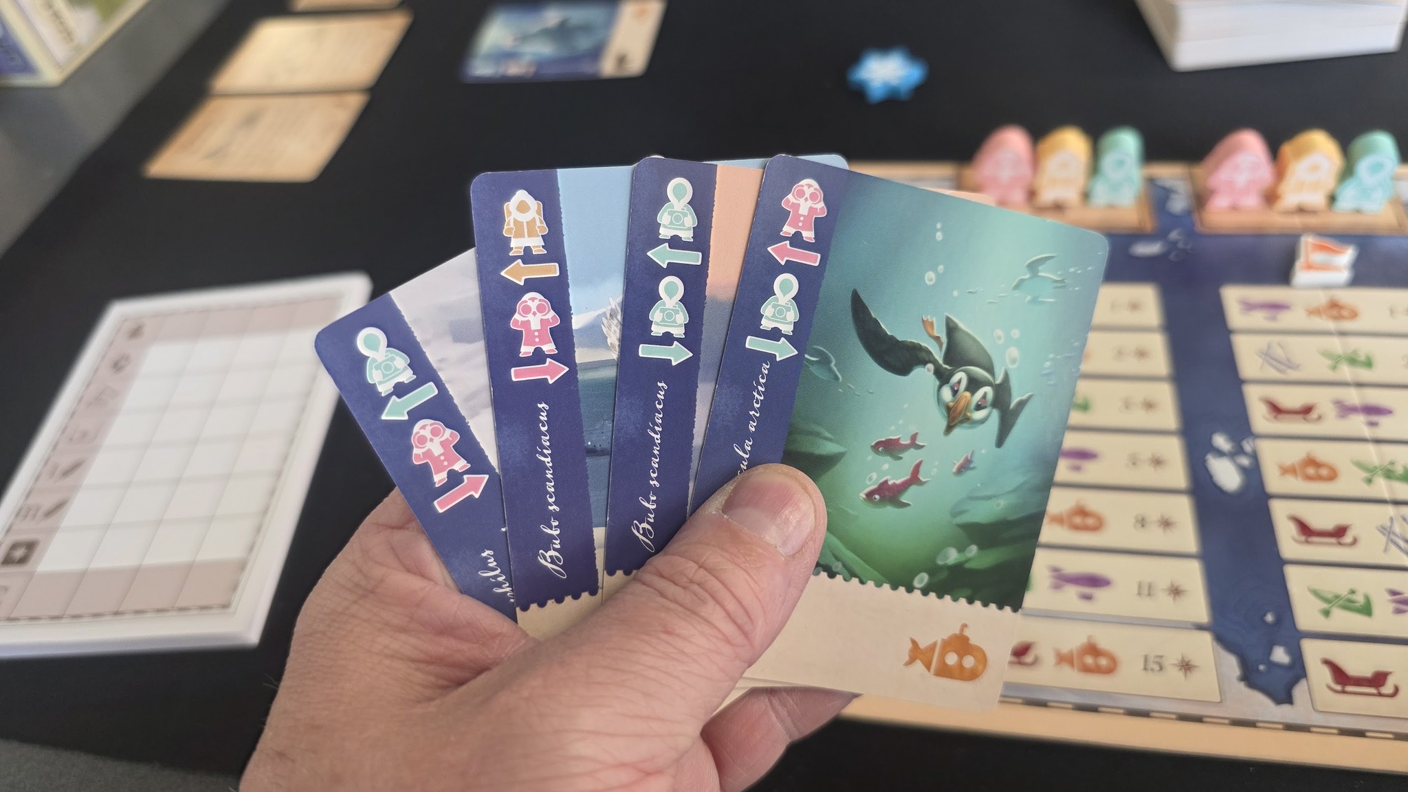 May be an image of ‎text that says "‎席 $ ہد ↓ 栗一 ه1 福 400个 I1o1 scandincas cиp Bulrscandiacas и でまみ νααλίω. scandia lo "זישקיית Ayжcy قد II 紅本 اي ይ 15 15‎"‎