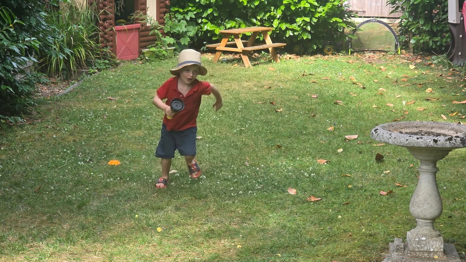 May be an image of frisbee and grass